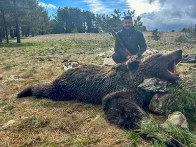 A hunter kneeling behind a brown bear on dry grass under a bright sky with pine forest behind