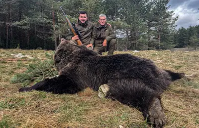 Two hunters kneeling in a clearing behind a large brown bear, pine forest behind them