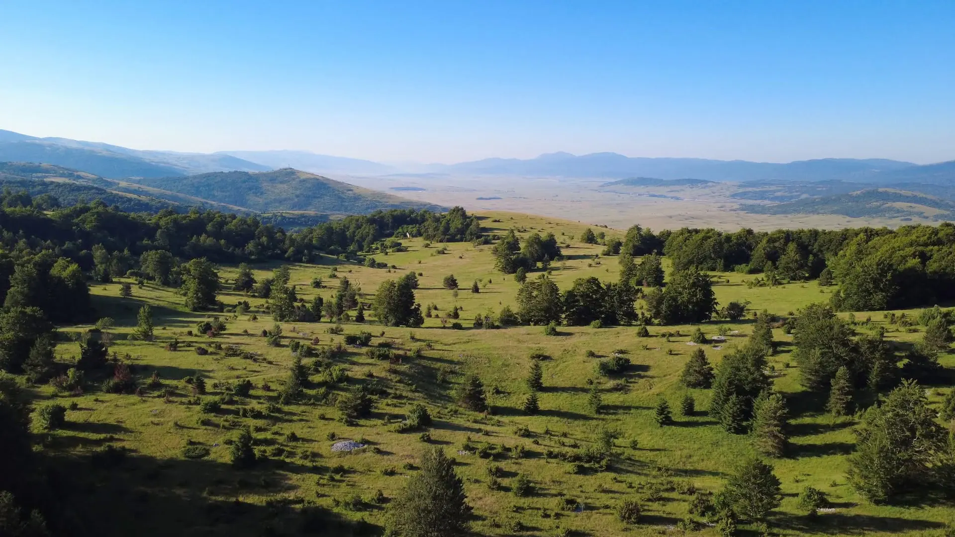 Wide highland meadows and beech forest on the Glamoč plateau at sunrise, with distant mountain ridges